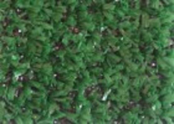 Astroturf Green Priced Per Sq/Ft