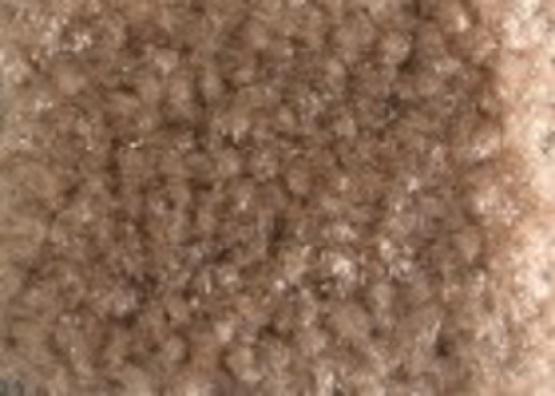 Carpet Tan Priced Per Sq/Ft-Add Installtion